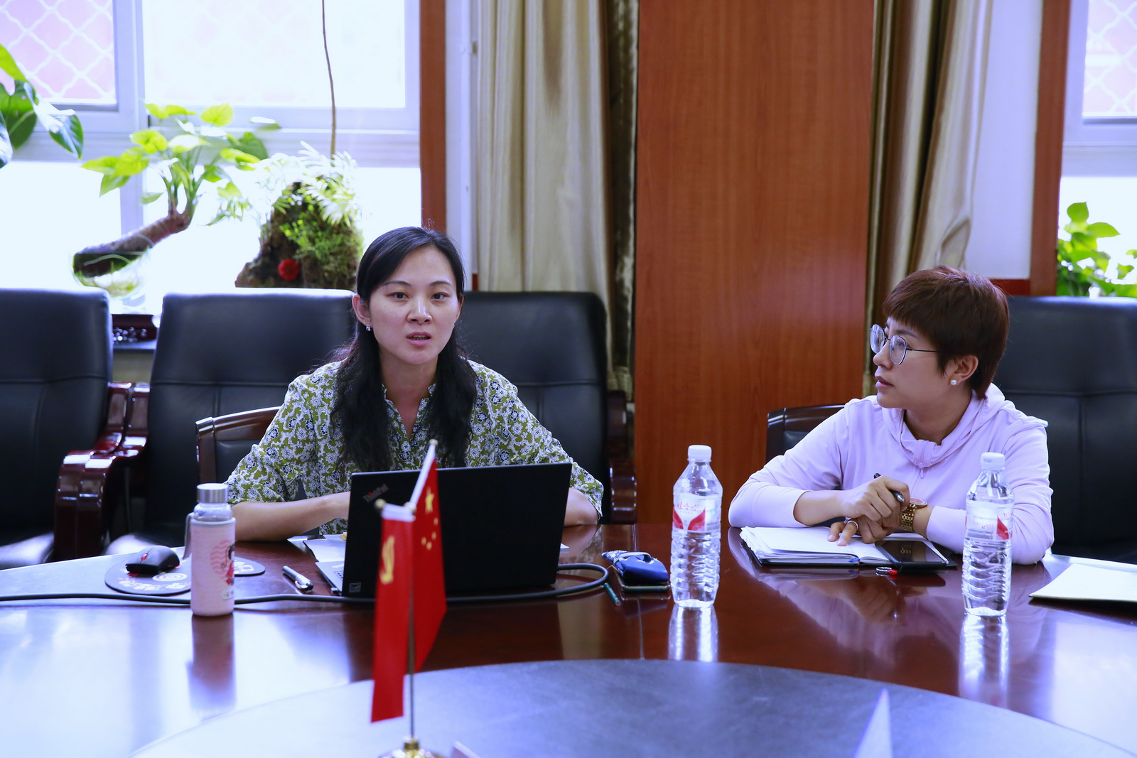 杨帆人口_主持人杨帆